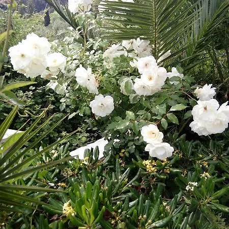 Апартаменты Athina *